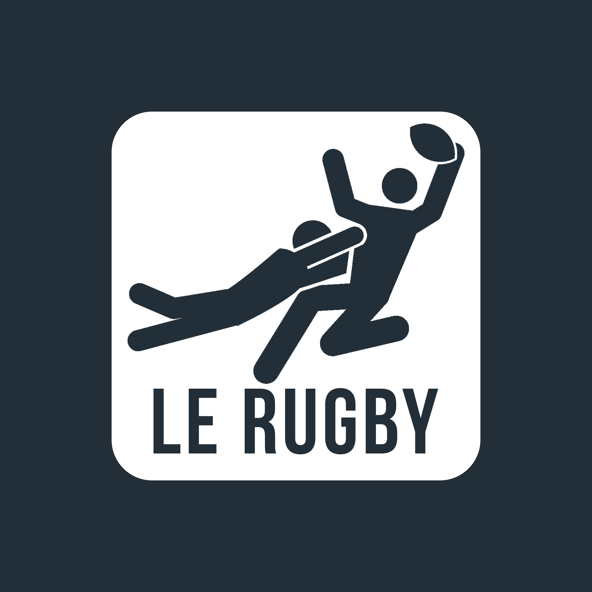 Le Rugby