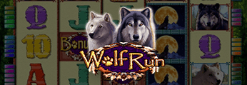 Wolf Run