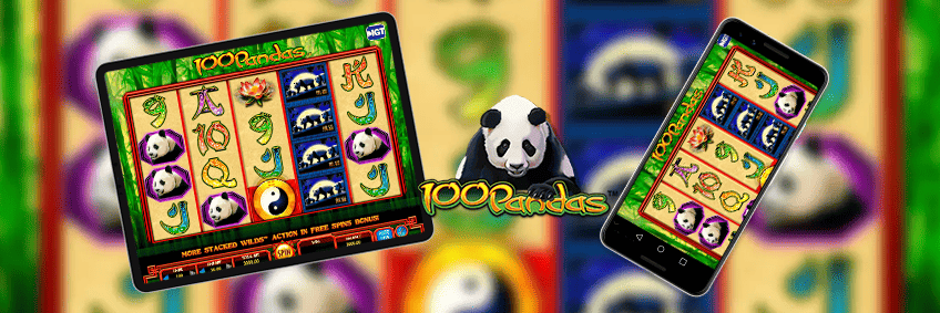 100 pandas