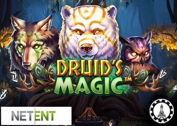 bénéficiez d'un bonus mardi avec druids magic sur millionz casino