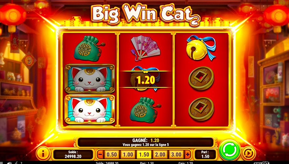 Lignes de paiement Big Win Cat