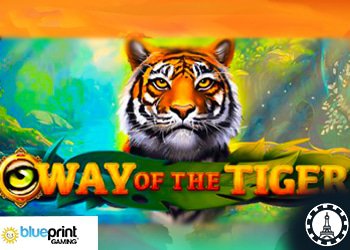 blueprint gaming lance le jeu ways of the tiger