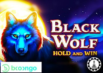 booongo prévoit le lancement du jeu black wolf hold and win