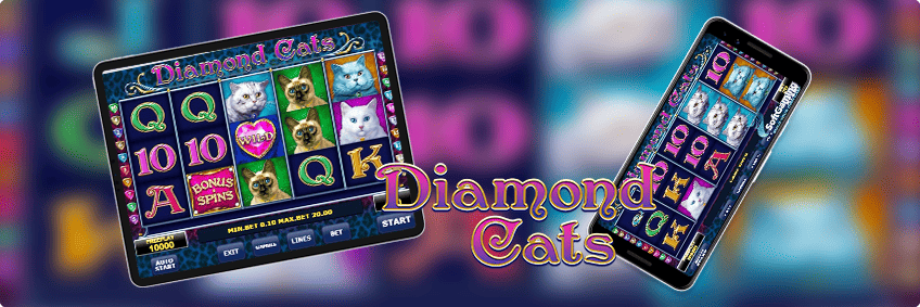 diamond cats amaya