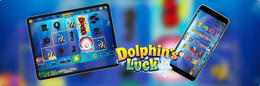 dolphin's luck