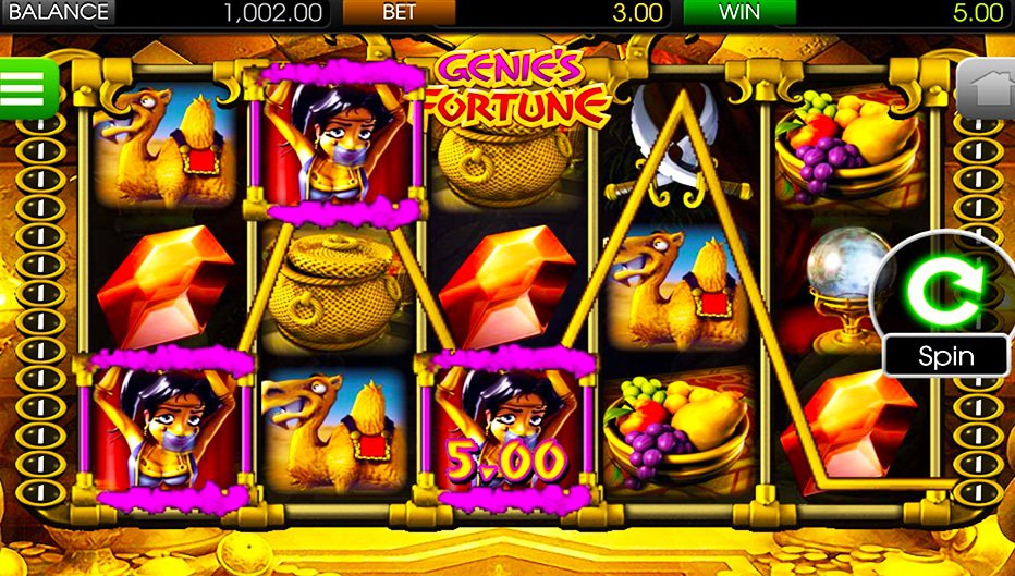 Lignes de paiement Genie's Fortune