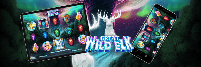 great wild elk