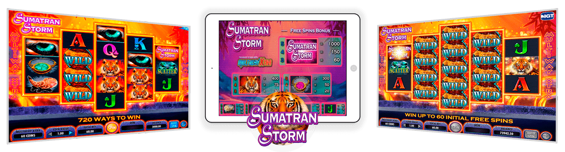 version mobile de Sumatran Storm