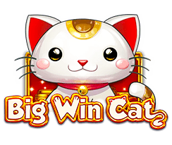 Big Win Cat Play'N Go