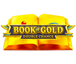 Book of Gold : Double Chance Playson