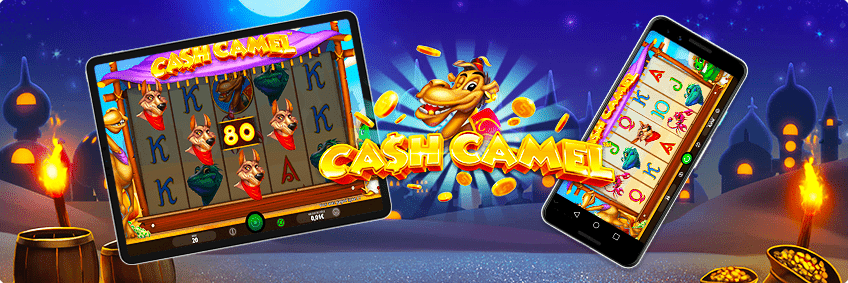 version mobile Cash Camel