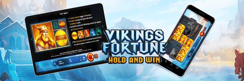 version mobile de vikings fortune: hold and win