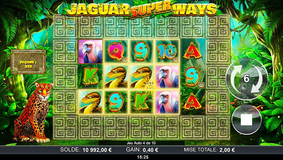 Lignes de paiement Jaguar Super Ways