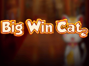 Big Cat Win