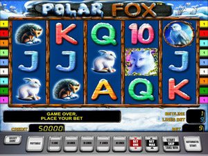 Polar Fox Polar