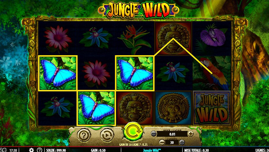 Lignes de paiement Jungle Wild