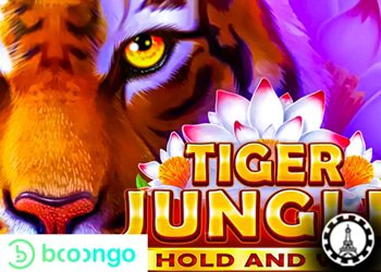 lancement jeu casino online tiger jungle hold and win