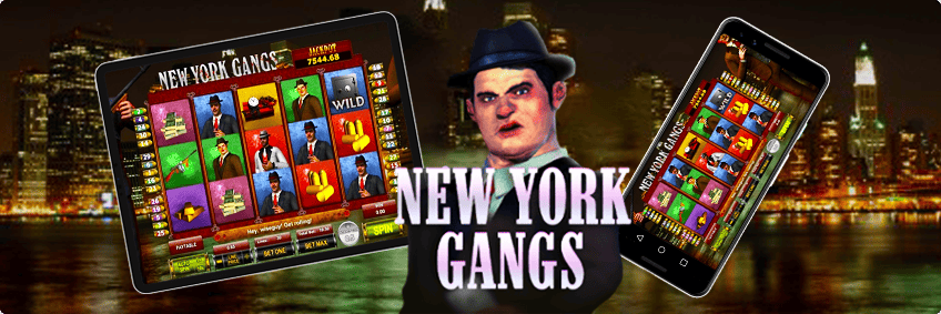 new york gangs