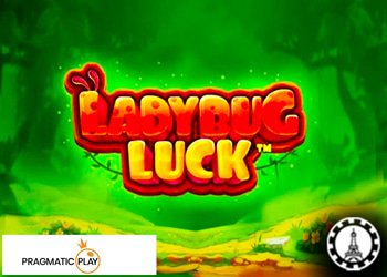 pourquoi lucky8 casino est le meilleur pour jouer ladybug luck