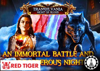red tiger gaming devoile jeu transylvania night of blood