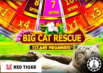 red tiger lance machine a sous big cat rescue megaways