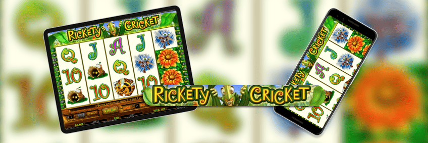 rickety cricket
