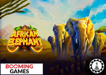 safari sur le casino en ligne arican elephant