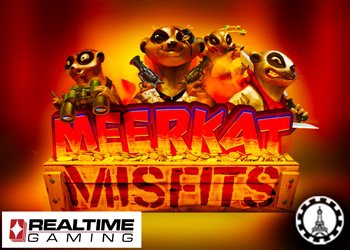 sites paris alimentes rtg proposent meerkat misfits