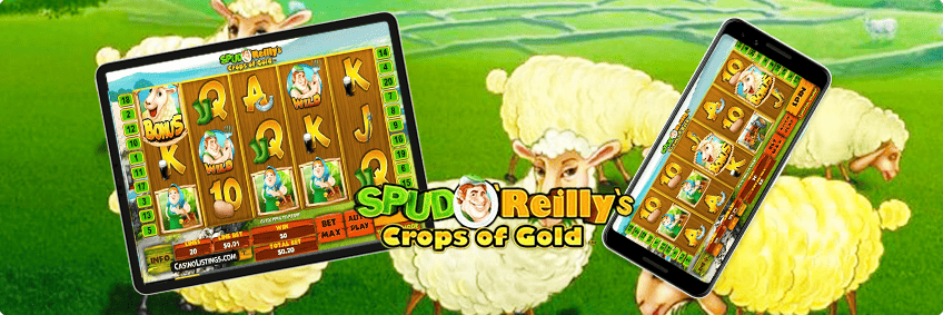 spud o'reilly's crops of gold