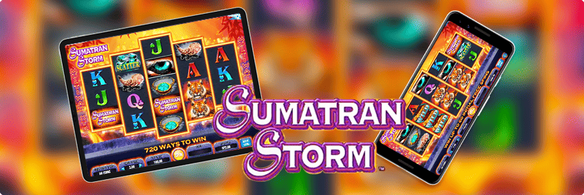 sumatran storm