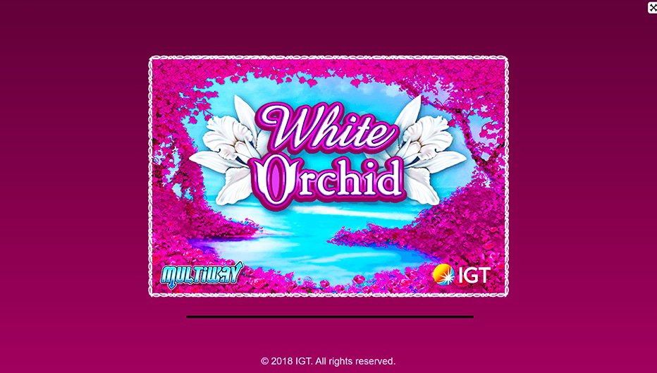 Machine à sous White Orchid