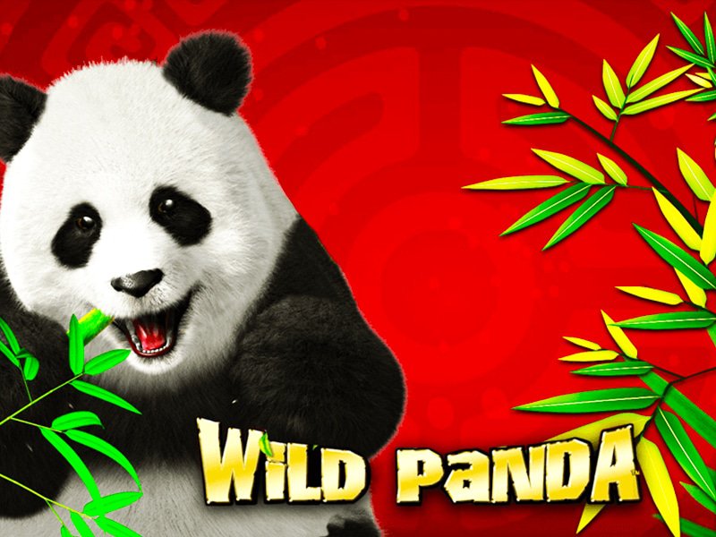 machine à sous Wild Panda