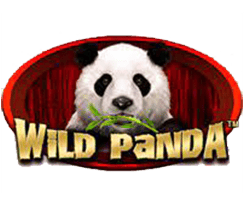 Machine à sous Wild Panda