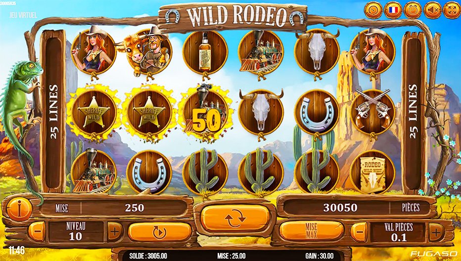 Lignes de paiement Wild Rodeo