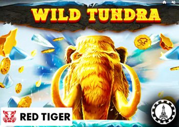 wild toro 2 bientôt casinos en ligne elk